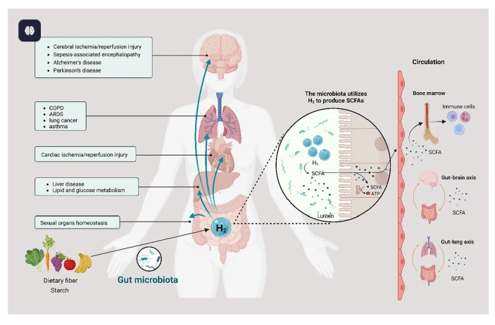 hydrogen health care (7)