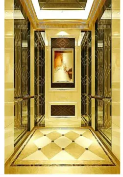 Luxury Hotel Passenger Elevator with Etching Cabin