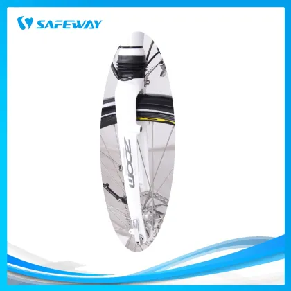 350W mid-drive SHENGYI motor electric bike