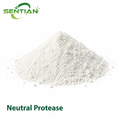 Neutral Protease Enzyme for Protein Hydrolysis & Feed