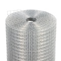 1/2 &#39;&#39; Electro Golvanized Wore Wire Mesh Mesh