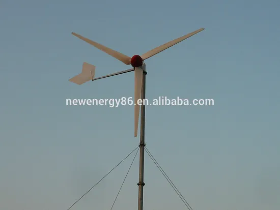 1KW Wind Solar Energy Generator Off Grid,1KW Wind Power Generator And Solar Hybrid System,1KW Off Grid Wind Solar