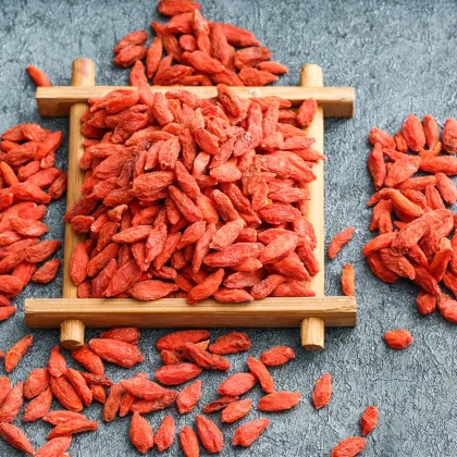 Hot sale wolfberry/goji berries for weight loss