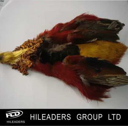 Wholesale Golden Pheasant Skin