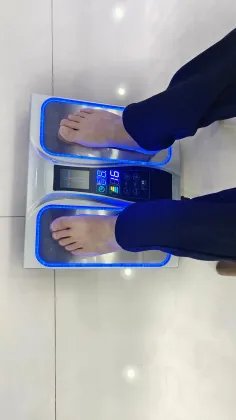 PEMF and Terahertz Therapy Foot Device for Healthcare