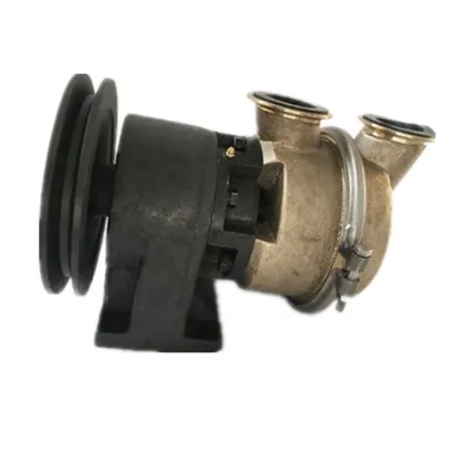 Diesel Marine Engine Sea Water Pump Part Number 3655857
