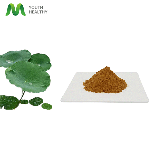 Naturalis Leaf Extract Powder Indigo Powder Low Price