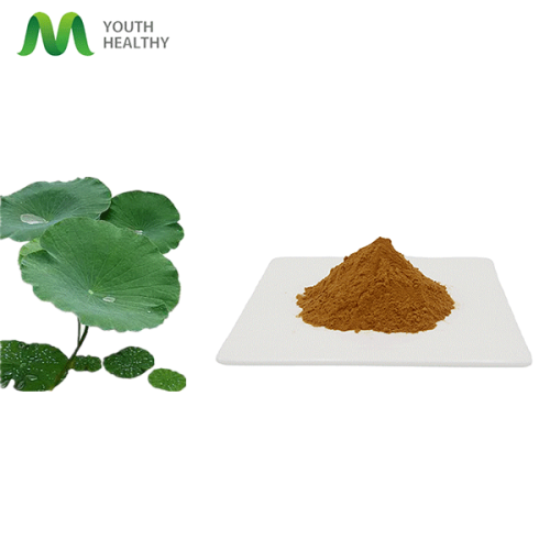 Garantie de qualité meilleur extrait de feuilles de lotus nuciférine 98%