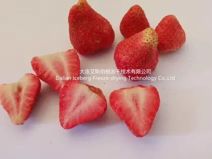 Strawberry Fruit Freeze-drying Machine