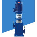 Vertical multistage feedwater pump