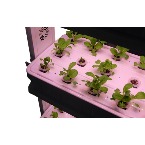 Bluetooth Control Vertical Lighting Hydroponic Systems