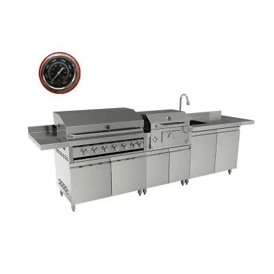 Stainless Steel Cabinets Sink BBQ Grill Charcoal Grill Modulars Design Cabinet for Cooking