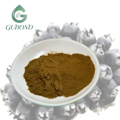 Siberian Ginseng Extract Powder for Nutritional Supplements