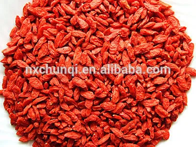 Navita's Naturals Organic sundried goji berry