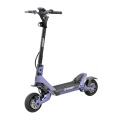 2 Wheel Electric Scooter 1200W*2