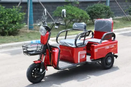 3 wheel fat big tire cargo electric tricycle
