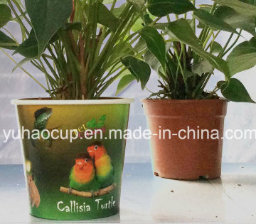 Flexible Decoration Pot Cover in Indoor