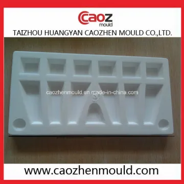 Plastic Injection Ice Cube Box Mould in Huangyan