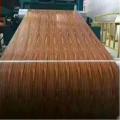 PPGI Color coated steel coils sheet