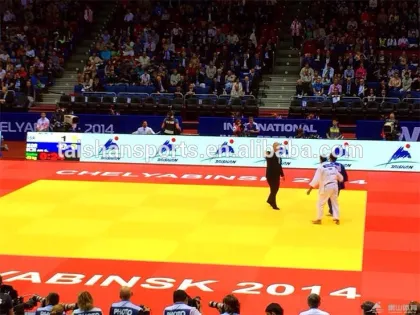 Master tatami Judo mats