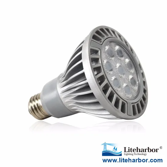 UL & ROHS Aluminum heat sinking 16W High Brighteness LED PAR30 Spotlight