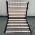 2023 1000W 10BAR azul IR Greenhouse Grow Light