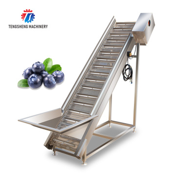 Factory Price Fruit and Vegetable Elevator: Ginger, Potato, Tomato, Carrot Inclined Belt Conveyor Machine