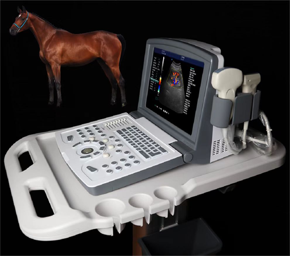 Portable Color Doppler Ultrasound Machine for Sheep Pig