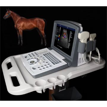 Portable Color Doppler Ultrasound Machine for Sheep Pig