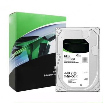 6TB SATA 7200 RPM Internal Hard Drive with 256MB Buffer - Models St6000nm0115 and St6000nm021a - 3.5\" Form Factor