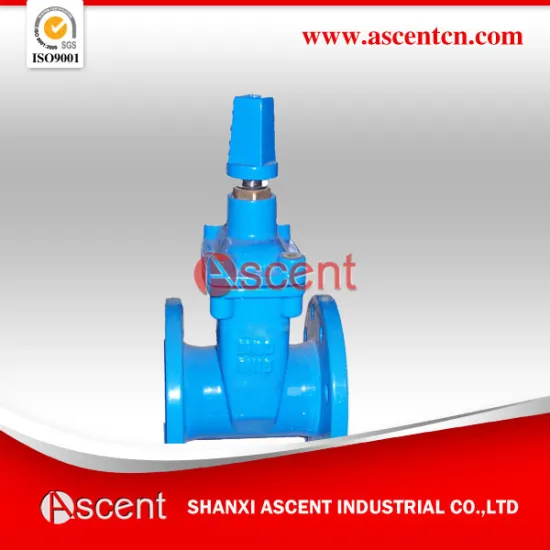 Resilient Gate Valve