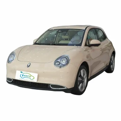 Long Endurance 400km Electric Car with Standard Battery