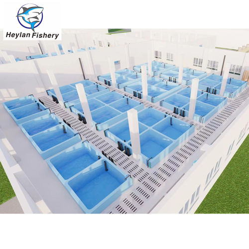 Industrial Fish Farm System: RAS and Recirculating Aquaculture Equipment for Indoor and Outdoor Use
