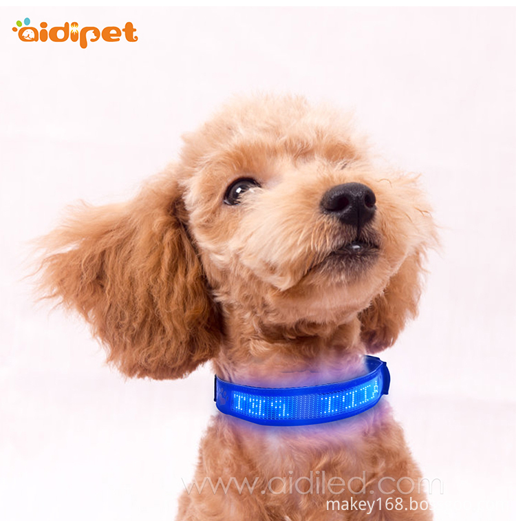 Blue PU Dog Collar