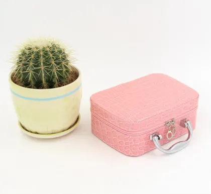 Promotional Pink Color Cosmetics Bags