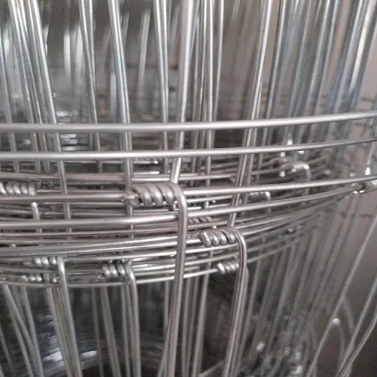 Hot-dipped Galvanized Kraal Network Field Fence