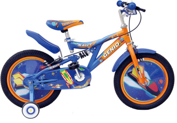 OEM Bicycle