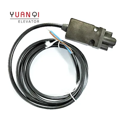 ES14AZ10 Lift Switch - Steute Elevator Limit Switch Supplier