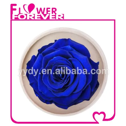 Best Gift Preserved Natural Rose