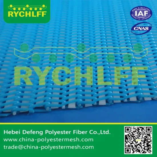 Polyester spiral fabric