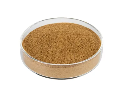 Flammulina velutipes enoki mushroom powder extract