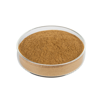 Flammulina Velutipes Enoki Grushroom Powder Extract