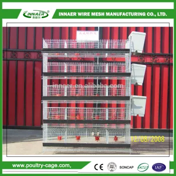 Scalability adjusted according to the size full automatic quail cage                        
                                                Quality Choice