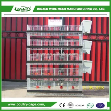 Scalability adjusted according to the size full automatic quail cage                        
                                                Quality Choice