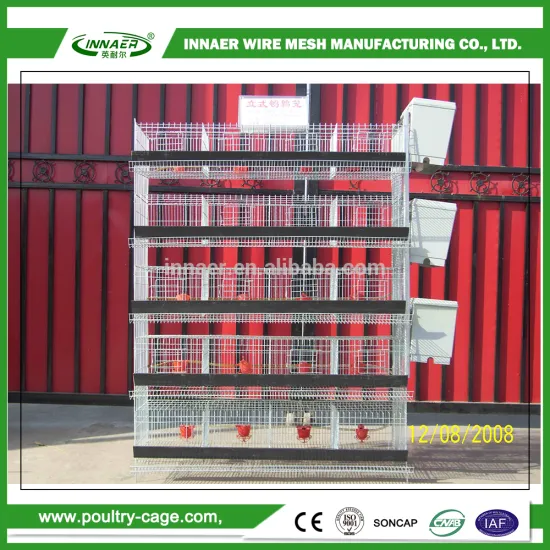 Scalability adjusted according to the size full automatic quail cage                        
                                                Quality Choice