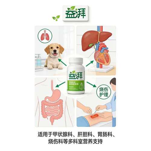 پشتیبانی تغذیه پرکاری تیروئید گربه عمده فروشی