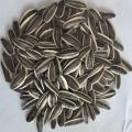 Wholesale Top Quality Sunflower Seeds