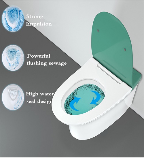 Rimless P-Trap Ceramic WC