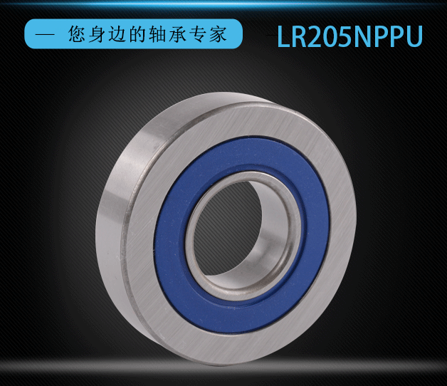 Single Row Deep Groove Ball Bearing LR 205