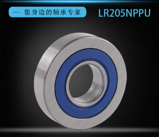 Single Row Deep Groove Ball Bearing LR 205